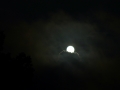 Full Moon 8-10-14 015