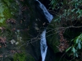 Cumberland Falls & Yahoo 052